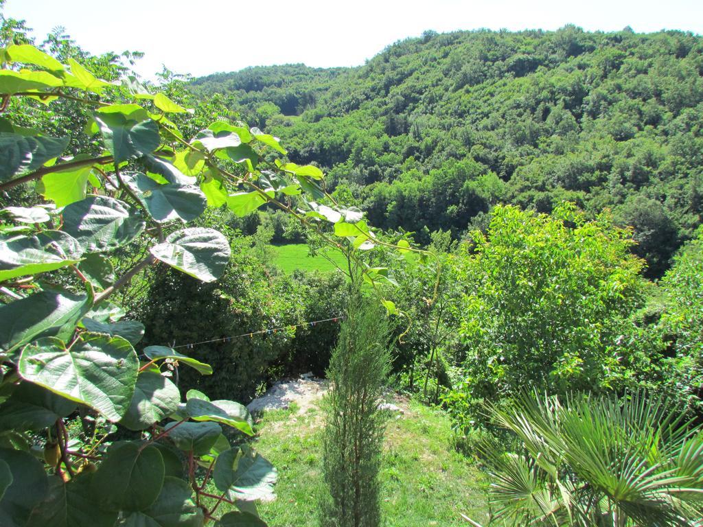 Summerhouse Beram Pazin Bagian luar foto