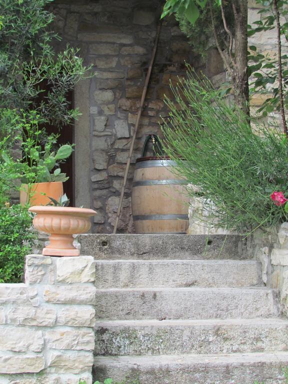 Summerhouse Beram Pazin Bagian luar foto