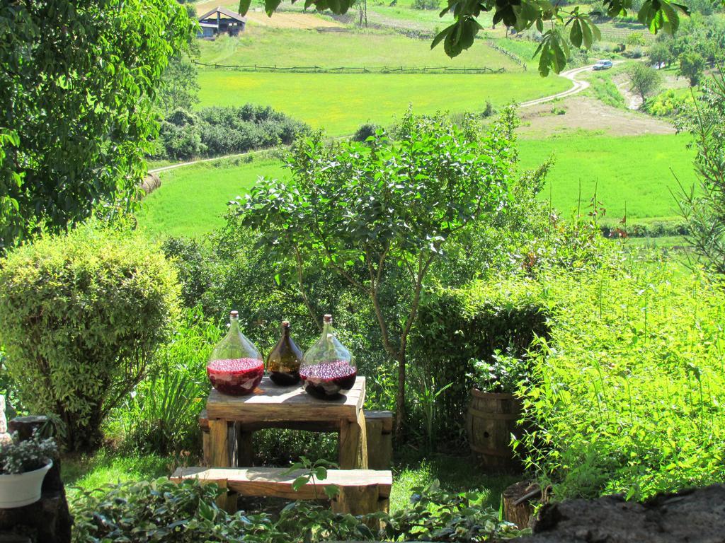 Summerhouse Beram Pazin Bagian luar foto