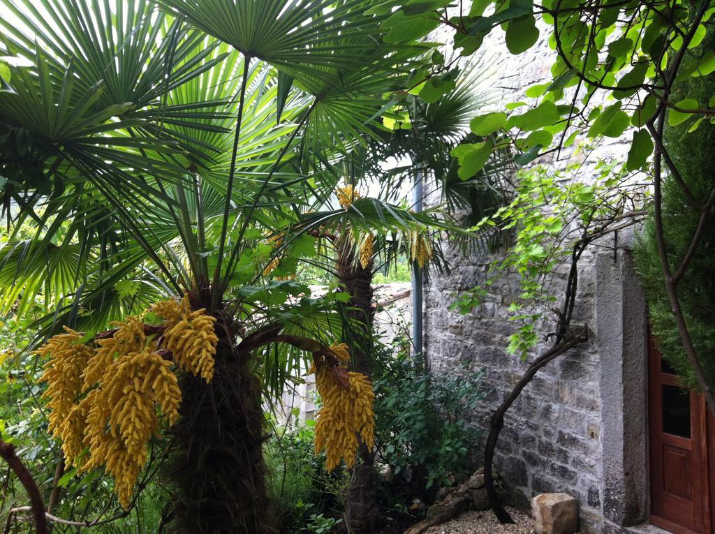 Summerhouse Beram Pazin Bagian luar foto